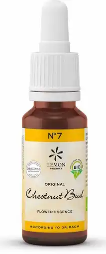 De Online Drogist Bach no.7 chestnut bud 20ml aanbieding