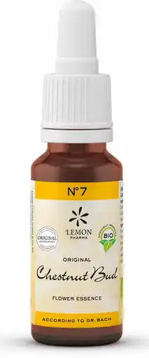 De Online Drogist Bach no.7 chestnut bud 20ml aanbieding