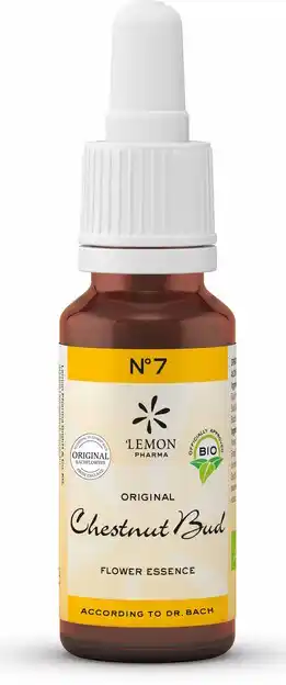 De Online Drogist Bach no.7 chestnut bud 20ml aanbieding