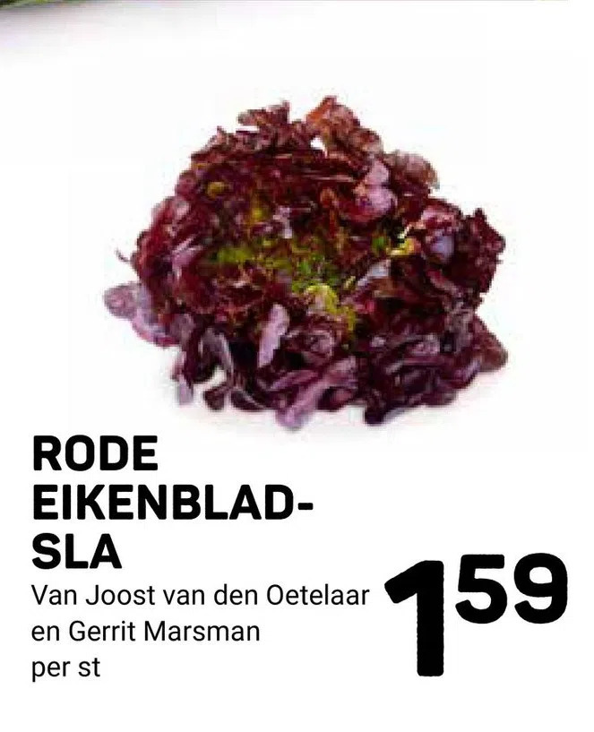Ekoplaza Rode eikenbladsla aanbieding