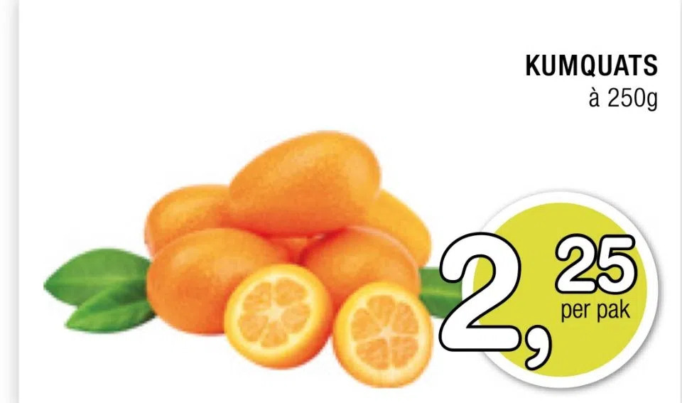 Amazing Oriëntal Kumquats aanbieding