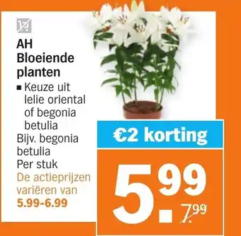 Albert Heijn AH Bloeiende planten aanbieding