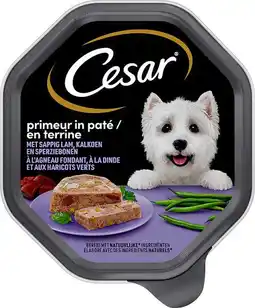Intratuin Cesar classic lam met kalkoen alu kuipje 150 g aanbieding