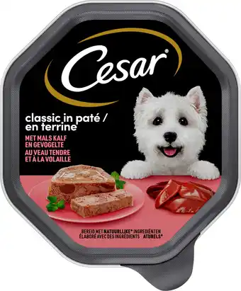 Intratuin Cesar hondenvoer in paté kalf en gevogelte 150 g aanbieding