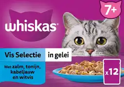 Intratuin Whiskas kattenvoer in gelei vis selectie vis senior 85 g 12 stuks aanbieding