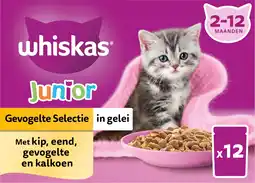 Intratuin Whiskas kattenvoer in gelei gevogelte selectie kitten 85 gr 12 stuks aanbieding