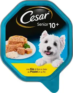 Intratuin Cesar senior kip met rijst in gelei alu kuipje 150 g aanbieding