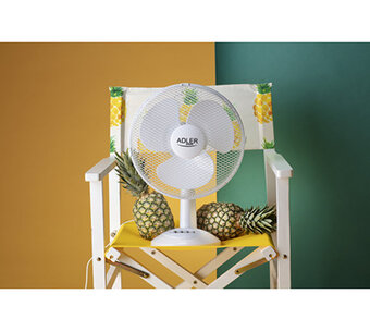 Voordeeldrogisterij Adler ad 7303 ventilator - 30 cm aanbieding