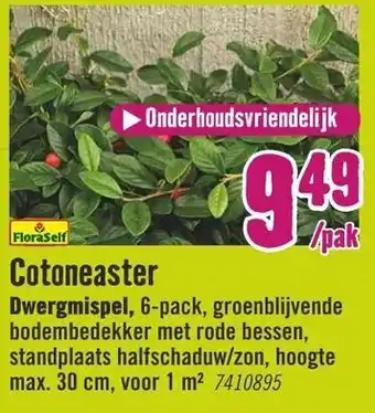 Hornbach FloraSelf Cotoneaster Dwergmispel 6-pack aanbieding