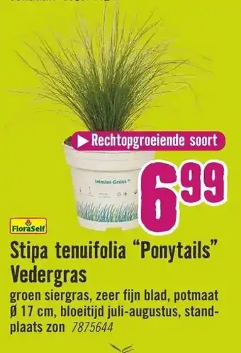 Hornbach FloraSelf Stipa tenuifolia Ponytails Vedergras aanbieding