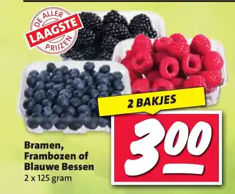 Nettorama Bramen, Frambozen of Blauwe Bessen 2 x 125 gram 2 BAKJES aanbieding