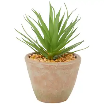 Action Vetplant in pot aanbieding