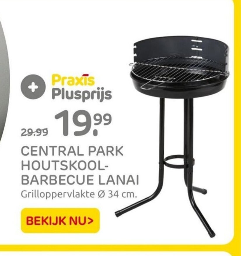 CENTRAL PARK HOUTSKOOLBARBECUE LANAI Grilloppervlakte Ø 34 cm. aanbieding bij Praxis