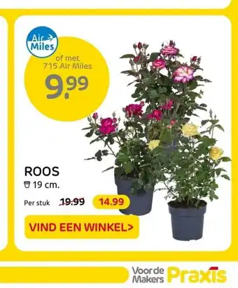 Praxis ROOS 19 cm. aanbieding