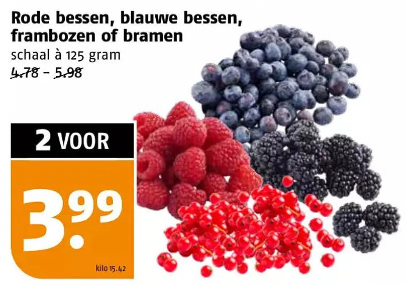 Gusta Garden Uitbreiding voor Berry Buddy - flexibele klimhulp voor bessen: frambozen, bramen en bosbessen, uitbreidbaar, EU-product, rankrooster van hout