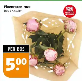 Poiesz Pioenrozen roze aanbieding