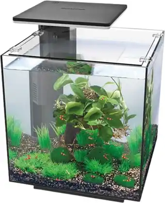Intratuin Superfish aquarium qubiq 60 pro zwart 60 l aanbieding