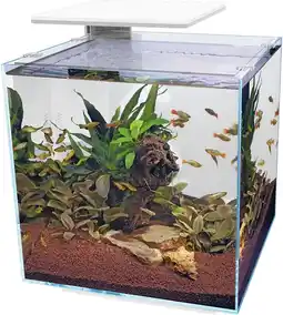 Intratuin Superfish aquarium qubiq 60 pro wit 60 l aanbieding