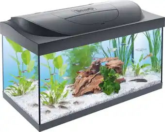 Welkoop Tetra starter line - aquarium - 61x36x32 cm - 54 l aanbieding