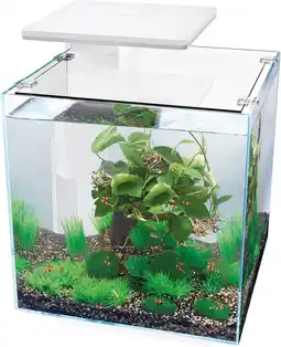 Intratuin Superfish aquarium qubiq 30 pro wit 30 l aanbieding