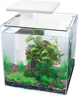 Intratuin Superfish aquarium qubiq 30 pro wit 30 l aanbieding