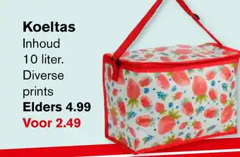 Hoogvliet Koeltas aanbieding