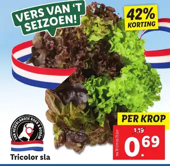 Lidl Tricolor sla aanbieding