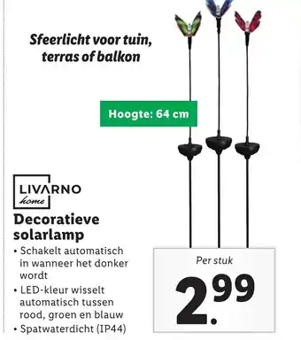 Lidl LIVARNO home Decoratieve solarlamp aanbieding