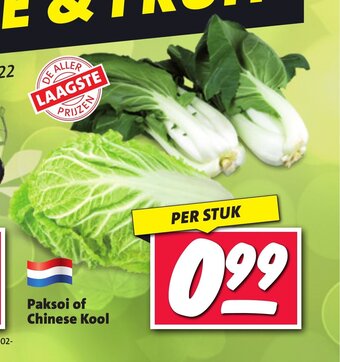 Nettorama Paksoi of Chinese Kool aanbieding