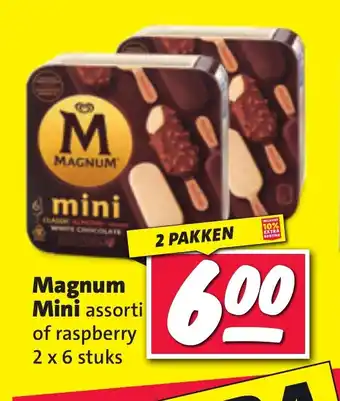 Nettorama Magnum Mini assorti of raspberry 2 x 6 stuks aanbieding