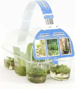 Intratuin Drijfplanten in sixpack d 9 h 20 cm aanbieding