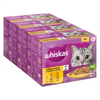 Zooplus Voordeelverpakking whiskas 1+ adult maaltijdzakjes 48 x 85 g kattenvoer - gevogelte-selectie in gelei aanbieding