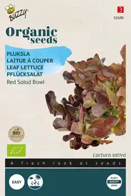 Welkoop Buzzy pluksla lactuca sativa red salad bowl - sla - 1 g aanbieding