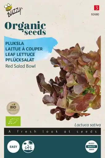 Welkoop Buzzy pluksla lactuca sativa red salad bowl - sla - 1 g aanbieding