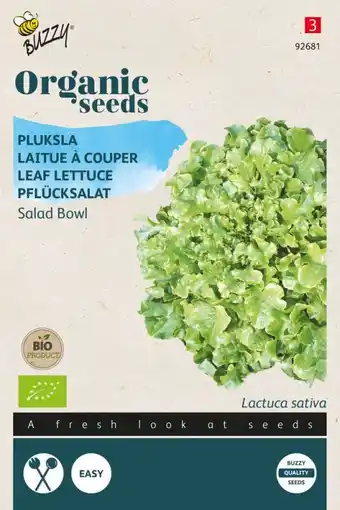 Welkoop Buzzy pluksla lactuca sativa green salad bowl - sla - 1 g aanbieding