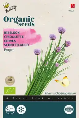 Welkoop Buzzy bieslook allium fistulosum prager - kruidenzaden - 0,4 gram aanbieding