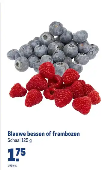 Makro Blauwe bessen of frambozen aanbieding