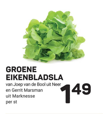 Ekoplaza Groene eikenbladsla aanbieding