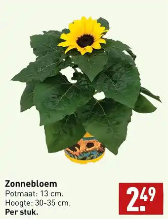 ALDI Zonnebloem aanbieding