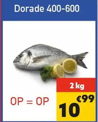 Tanger Markt Dorade 400-600 2 kg aanbieding