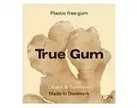 De Online Drogist True gum ginger & turmeric 21gr aanbieding