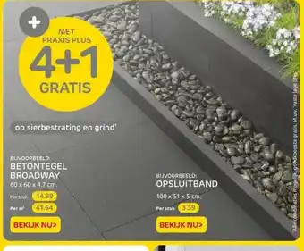 Praxis op sierbestrating en grind" BIJVOORBEELD: BETONTEGEL BROADWAY 60 x 60 x 4.7 cm aanbieding