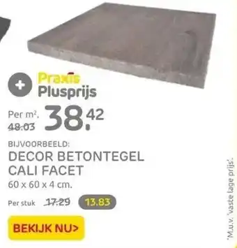 Praxis Decor betontegel cali facet aanbieding