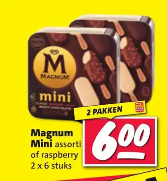 Nettorama Magnum Mini assorti of raspberry 2 x 6 stuks aanbieding