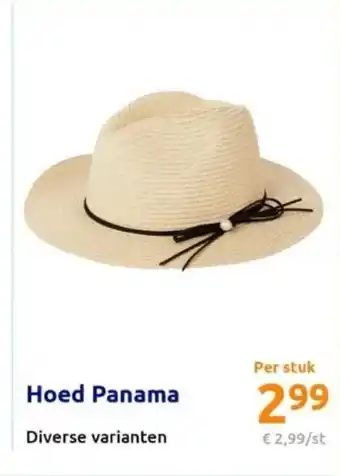 Action Hoed Panama aanbieding