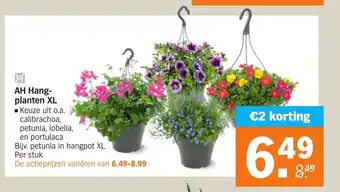 Albert Heijn Hang-planten XL aanbieding