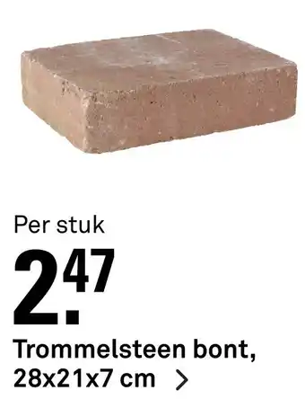 Karwei Trommelsteen bont 28x21x7 cm aanbieding