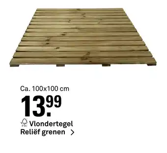 Karwei Vlondertegel Reliëf grenen > FSC 100x100 cm aanbieding