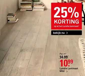 Karwei Lundla lamnat mild aanbieding