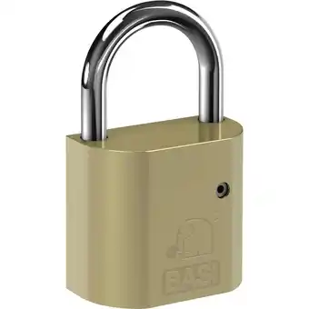 Conrad Basi pz5090-0010 hangslot hangslot met profielcilinder aanbieding